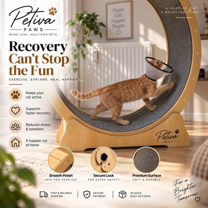 Happy Wheel By Petivapaws™